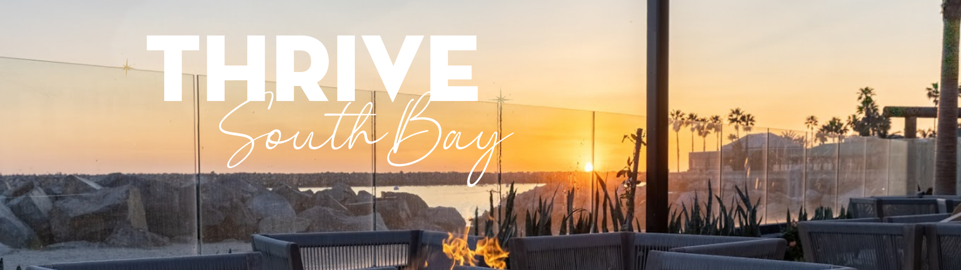 Banner Ad - Thrive South Bay(4)